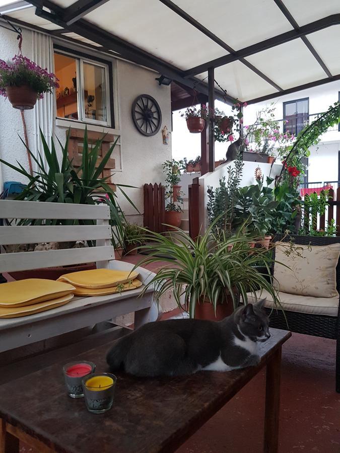 Estia Vasilis Manoli Apartment Айя Напа Екстериор снимка